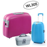 2014 New Hot Sale Luggage Set (WL305)