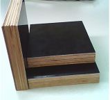 Hardwood Core Black Film Faced Plywood for Construction