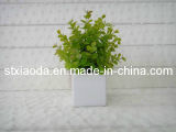 Artificial Plastic Grass Bonsai (XD13-27)