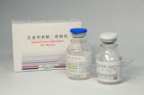 Fructose Sodium Diphosphate Injection, Glycerol Fructose and Sodium Chloride Injection