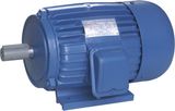 Y Series Three-Phase Electric Motor