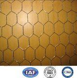 Galvanized Hexagonal Wire Mesh