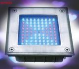 LED Down Light