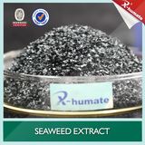 100% Nature Organic Fertilizer Seaweed Extract