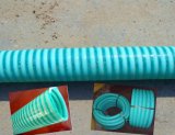 Supply Good Quality CPVC Pipe-Suction Hose