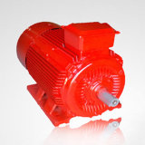 Induction Electric Motor with CE