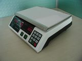 Electronic Scale