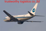 Air Freight Cargo to Iraq