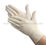Latex Gloves Powder Free