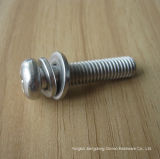 Stainless Steel Pan Head Bolt with Nut and Washer