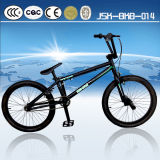 20 Inch Good Quality Children Freestyle BMX Bike