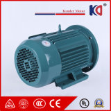 High Efficiency Synchronous Permanent AC Electric Motor