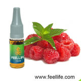 Raspberry Mint E-Juice 10ml