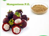 Natural Mangosteen Extract/Dried Mangosteen Rind