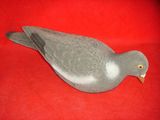 Flocking Pigeon, Decoy for Hunting (HYZ018)