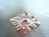 Gas Protector