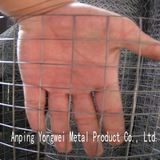 Welded Wire Mesh /Galvanized Welded Wire Mesh