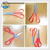 12.8cm Stainless Steel Scissors with Scale