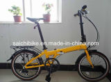High Quality 20 Size Folding Bicycle (SC-FB-003)
