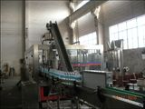 Automatic High Performance Beverage Filling Equipment /Machinery (CGF32-32-10)