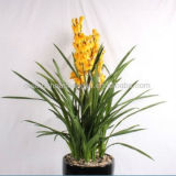 120cm Decoration Artificial Orchid Flower Bonsai (hot sale)