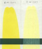 Pigment Yellow (P. Y. 168)