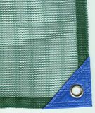 Olive Net
