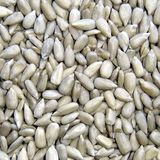 Sunflower Seeds Kernels