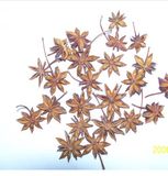 Star Anise