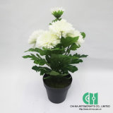 Artificial Flower, Artificial Tree, Artificial Plant (91-CH10304890 (1))