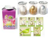 Magic Bean,Magic Egg,Message Bean