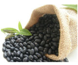 Hot Sale! ! ! China Organic Samll Black Bean