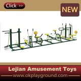 Hot Sale Outdoor Fitness Equipment (12170C)