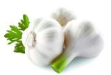 New Crops Fresh Garlic 4.5cm-6.0cm