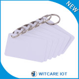 Rewritable Ntag 216 RFID Smart Card