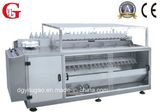 Drum Type Bottle Washing & Cleaning Machine (Ylg-W10)