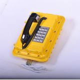 Joiwo Explosion Proof Telephone Set with Certification