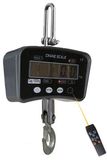 Crane Scale