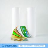 Woodfree Self Adhesive Paper (WF3B104)