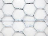 Hexagonal Wire Netting