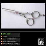 Superior Hairdressing Cutting Scissors (2AA-55H)