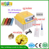 Cheap 48 Chicken Eggs Fully Automatic Egg Incubator