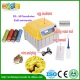 Cheap 48 Chicken Eggs Fully Automatic Egg Incubator