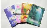 2014 A5 Softcover PP Notebook