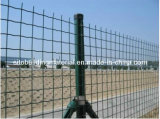 Euro Welded Wire Mesh/Wire Mesh Fence/Wire Mesh Fence Netting