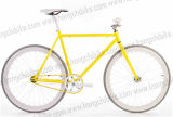 Bicycle-City Bike-Fix Gear Bike (HC-TSL-FG-08732)