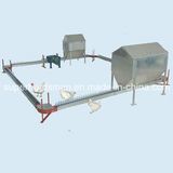 High Quality Automatic Breeder Chain Feeding System