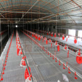 Poultry Raising Equipment for Chicken Production (JCJX-152)