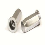 Flat Head Full Hexagonal Body Close End Blind Rivet Nut