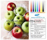 Banner Fabric Matt Polyester (Waterproof) 